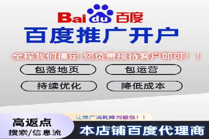 SEM推广代运营案例深度剖析